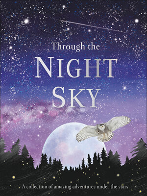 cover image of Through the Night Sky